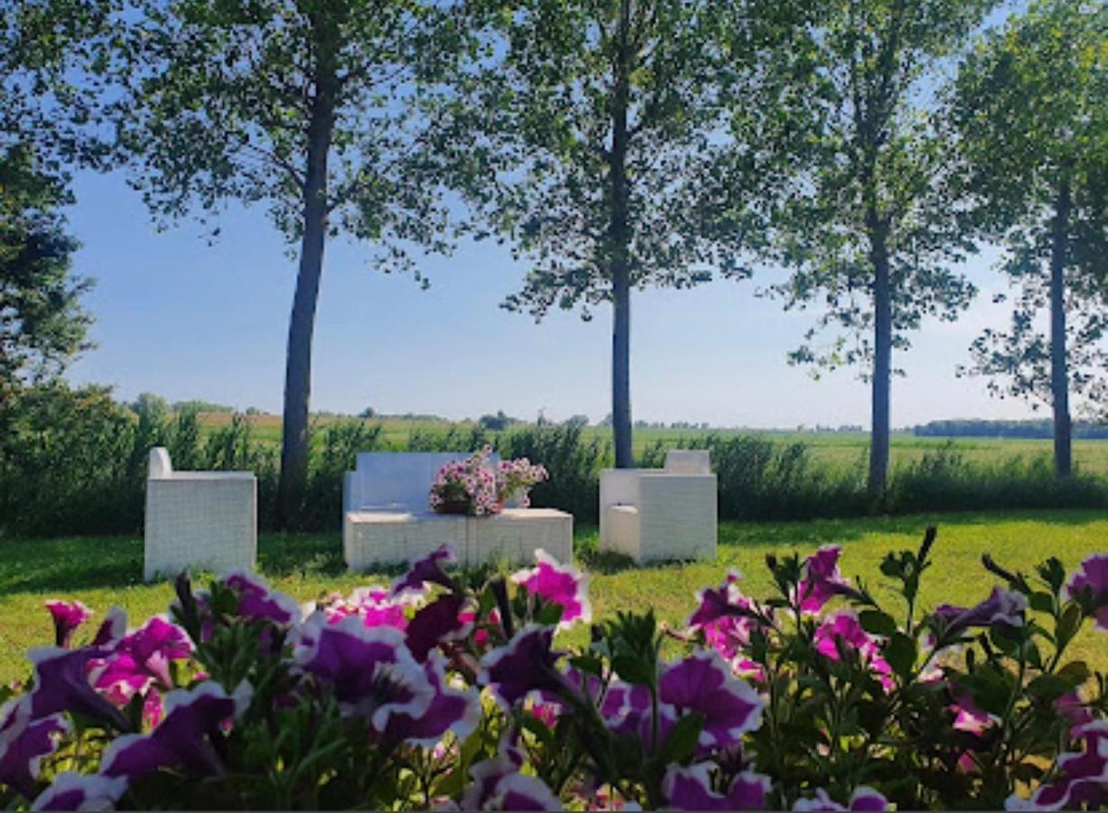 Agriturismo Ca' Pisani Porto Viro Extérieur photo